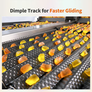 Machine de comptage et de mise en bouteille automatique de bonbons gélifiés à grande vitesse à 16 voies - Product Image 5