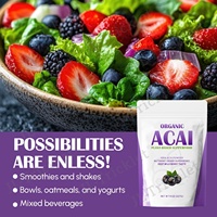 Julong OEM Poudre d'açaï biologique de marque privée Poudre de baies d'açaï lyophilisées sans OGM Poudre de superaliment d'açaï sans gluten