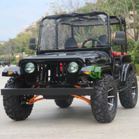 Voiture Jeep Miniature Personnalisée Richi, Électrique et à Essence, Automatique, Moteur 200cc 250cc 3000W, Véhicule Neuf à Grande Vitesse