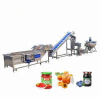 Multifunctionele productielijn voor jam & fruitpuree, verwerkingsapparatuur, aardbeien-, frambozenconcentraat en tomatenpuree