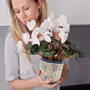 Pot de fleurs en céramique moderne de grand diamètre pour utilisation au sol, écologique et durable, idéal pour les arbres à argent, les Pothos et les Clivia - Product Image 6