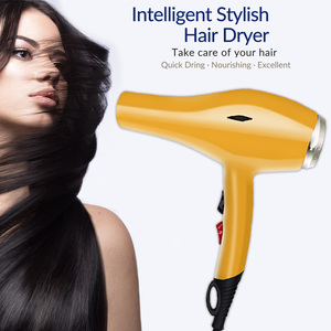 Potente Asciugacapelli <span class=keywords><strong>Professionale</strong></span> <span class=keywords><strong>da</strong></span> <span class=keywords><strong>Parrucchiere</strong></span> 1500W con Etichetta Privata per Salone - Product Image 2