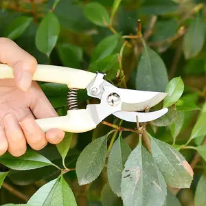 Nouveau produit pas cher outils de jardin cisailles de jardin épaissies ciseaux d'élagage de jardin sécateur en pot