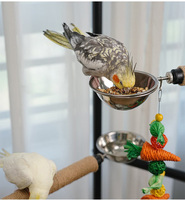 Support à oiseaux multi-niveaux avec plateau de jeu et perchoirs pour oiseaux