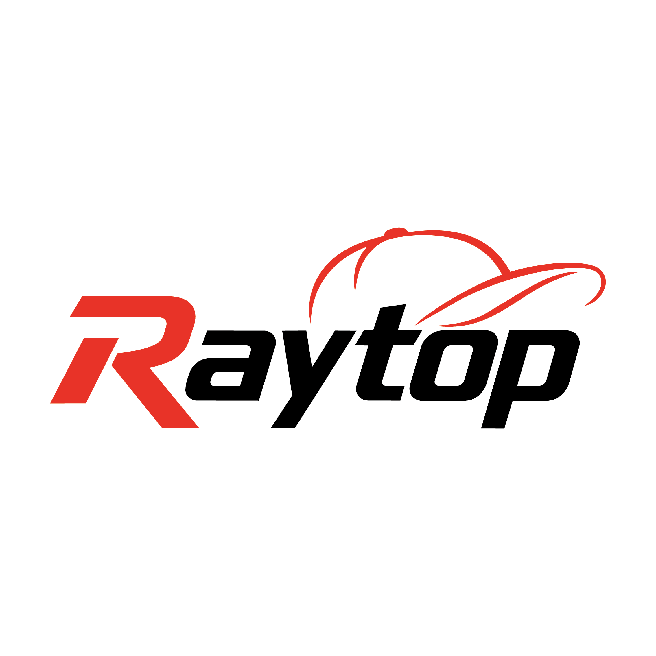 Raytop (Dongguan) Apparel Co., Ltd. logo