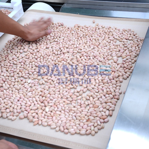 Peanut Microwave Drying Equipment Peanut Dehydrator Machine Peanut Microwave Dryer - Product Image 4