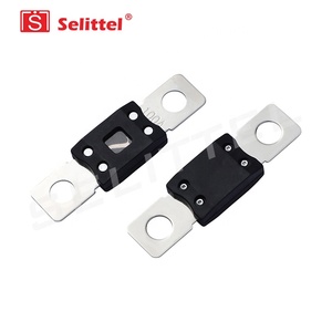 Chất lượng cao anm ANM-B cầu chì 30a-600a 32V 80V ô tô Bolt-on thay thế Mega 298 998 898 AMG Ami SBFW-K được thực hiện bởi selittel - Product Image 3