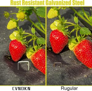 Piquets de jardinage en acier de 6 pouces pour plantes d'extérieur, pour fixer les tuyaux d'arrosage du jardin - Product Image 3