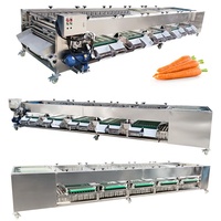 Lonkia Automatische Wortelsorteermaat En Reinigingsmachine \ Wortelwasmachines \ Wortelsorteermachine