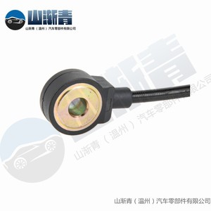 Capteur de cliquetis pour véhicules Fiat OE 0251231122 0309053771 0261231126 Pièce de rechange automobile - Product Image 4