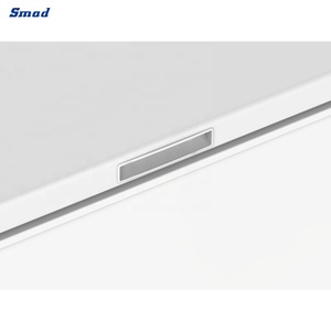 Congélateur horizontal à porte pleine de 8,7 pieds cubes pour viande - Product Image 6