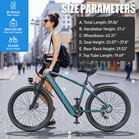 Vélo de montagne électrique 26 pouces, moteur de moyeu arrière 250W, batterie au lithium, assistance électrique, tout-terrain, suspension simple, freins à disque