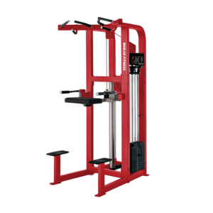 Attrezzo Fitness Robusto a Carico Selezionabile per Dip/Chin Assistiti - Trainer Multifunzione per Trazioni Assistite e Allenamento Muscolare - Product Image 1