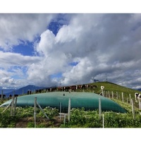 80000L UV CE ROHS Zusammen klappbares kunden spezifisches PVC-Regenwasser sammel system Klapp wassertank Flexi Tanks Kissen wassertank