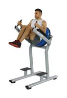 Équipement de Fitness, équipement d'exercice, porte-menton, barres parallèles, Machine abdominale verticale, levage des genoux, levage des jambes