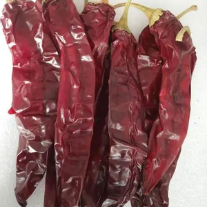 Vainas de pimentón por kg a bajo precio para el mercado español - Product Image 2