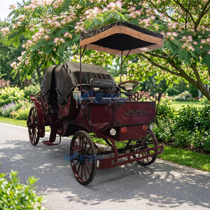 Nouvelle Vente Haut de Gamme Prix d'Usine le Plus Bas Chariot Électrique de Luxe Véhicule Tiré par des Chevaux pour Visites Touristiques et Mariages - Product Image 2