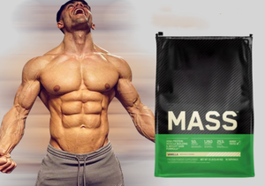 ผงเพิ่มน้ำหนัก <span class=keywords><strong>BBCA</strong></span> WPC โปรตีนเพาะกายเพื่อเพิ่มน้ำหนักโลโก้ที่กำหนดเองได้ - Product Image 4