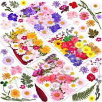 Décoration d'intérieur, décoration d'événements de mariage, fleurs séchées mélangées pressées pour l'artisanat en résine, fleurs séchées naturelles réelles