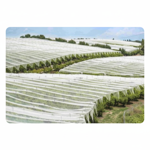 Rollo de tela no tejida agrícola de alta resistencia blanco 1x100 metros para uso agrícola de verduras y frutas - Product Image 1