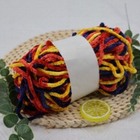 Chunky 200g Velvet Crochet Fancy Chenille Multi Color Hand Knitting Yarn OEM ODM Wholesale Price Polyester Yarn
