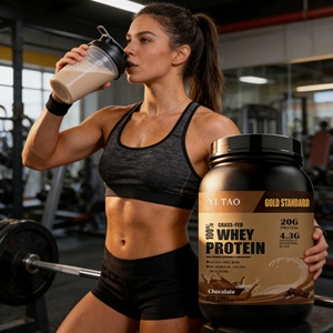 Concentrado de Proteína de Suero de Leche a Granel para Enriquecimiento de Proteínas en Alimentos y Bebidas, Empaque Personalizado OEM Disponible - Product Image 4