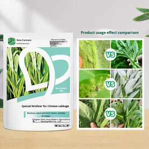 Fertilizante Orgánico Especial de Espinaca de Agua Xinnongyou para Jardines Pequeños, Granulado, Sin Hormonas, Sin Residuos - Product Image 1