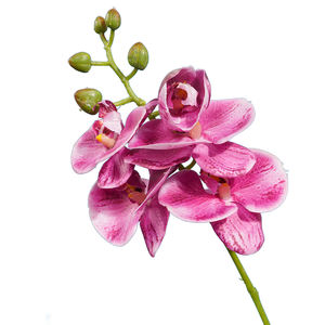 Orchidées à fleurs artificielles Nouveau design de haute qualité Fleurs de luxe <span class=keywords><strong>Orchidée</strong></span> en latex Faux sentir l'<span class=keywords><strong>orchidée</strong></span> la décoration de la maison de mariage - Product Image 6