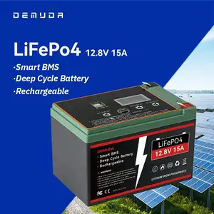 12V 50Ah 60Ah 100Ah 120Ah 150Ah 200Ah 300AH 15AH 20AH 80Ah 250Ah 35Ah家用储能Lifepo4锂离子太阳能电池组