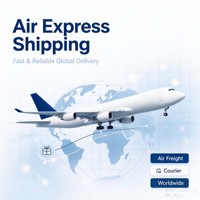 面向全球电子商务的优质航空快递解决方案