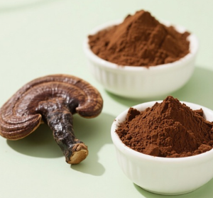 स्वास्थ्य देखभाल के लिए उच्च गुणवत्ता वाले गैनोडर्मा ल्यूसीडम अर्क स्टार्च गैनोडर्मा ल्यूसीडम निकालने पाउडर - Product Image 4