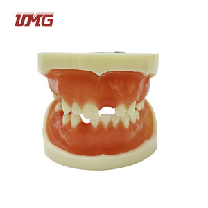 Mô Hình Thực Hành Cấy Ghép Răng Miệng - Product Image 1