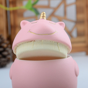 Urne en céramique pour animaux de compagnie MSH Coral Urne de crémation pour cendres Urne de crémation pour chien chat Urnes de crémation pour animaux de compagnie Aquamation Ashes Keepsake Urne commémorative pour animaux de compagnie - Product Image 4