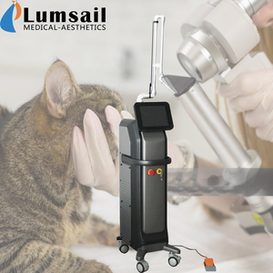 Ultra <span class=keywords><strong>laser</strong></span> cirúrgico do CO2 do pulso 10600nm para o tecido macio veterinário - Product Image 1