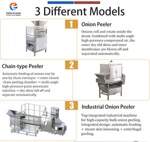 Industrial Onion Process Line Onion Head Tail Cutting, Skin Peeling, Onion <b>Ring</b> Slicing Machine - Product Image 3