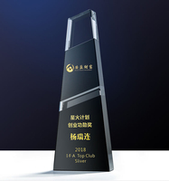 Nouvelle conception élégante de trophée en métal et cristal, coupes de récompense sportives en verre, récompenses en cristal pour la reconnaissance des employés, récompense pour le travail d'équipe
