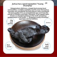 Thé Polygonatum Grade A, Boîte de 200g, Neuf Vapeurs, pour Nourrir le Yin et Tonifier les Reins, Favoriser une Fonction Rénale Masculine Saine