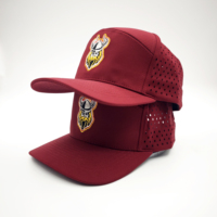 Gorras de Golf Transpirables y Ajustables con Malla, Cierre a Presión, Bordado a Mano de Leopardo, Patrones de Frutas con Puntos Dobby, para Hombres, Actividades al Aire Libre