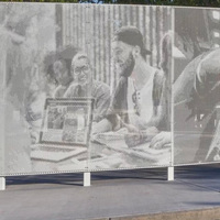 Paneles de Muro Cortina de Aluminio Arquitectónico con Imágenes Perforadas Personalizadas y Tamaños de Orificios para un Diseño Creativo de Fachadas de Edificios