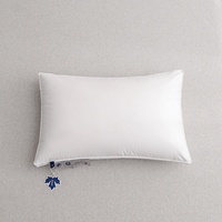 Oreiller en plumes de coton et d'oie blanc, qualité professionnelle, pour hôtels et usage domestique, tailles standard, queen et king, fourni par un fabricant en gros