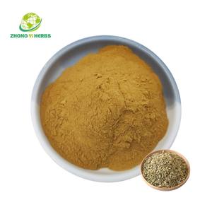 Estratto di semi di finocchio di alta qualità in polvere semi di finocchio in polvere - Product Image 1
