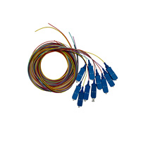 12 Cores Bundles Fiber Pigtails SC UPC/APC Single Mode or Multi-mode LC FC ST 1.2m Pigtail Color Wear-resistant Fiber Tail Fiber