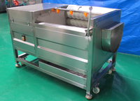 Aardappelwas- en schilmachine, wortelwasmachine, aardappelwasser en -schiller