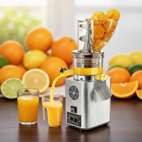 Motor Juicer Komersial 500W/750W/1200W untuk Buah Lunak Wortel, Ekstraktor Jus Peras Dingin Lambat dengan Sertifikasi CE/FCC/UL