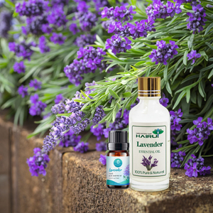 Fourniture Prix de gros 100% Pure Nature Organic 15ml L'huile de lavande convient au <span class=keywords><strong>massage</strong></span> et aux soins du corps pour les soins de la peau pour hommes - Product Image 3