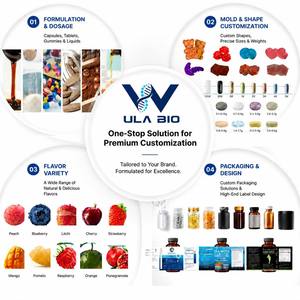 Wulabio Isolat de Protéine de Lactosérum Noir Mat Designer Absorption Rapide Synthèse Musculaire Supplément Professionnel ODM - Product Image 5