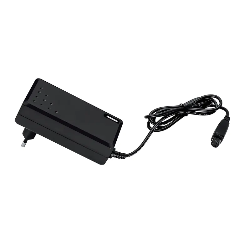 29.4v 1a electric balance scooter/hoverbaord charger 18650 li ion battery charger with US/UK/EU/KR/AU plug