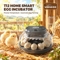 Incubateur commercial WONEGG T12 entièrement automatique à température constante pour l'éclosion des œufs - En vente