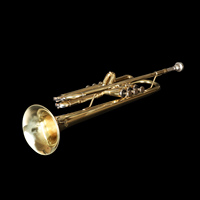 Factory Direct Sale Custom Cheapest High Quality Professional Brass Bb Trumpet Instrument