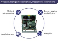 Vente en gros d'unités de condensation à refroidissement rapide pour compresseurs semi-hermétiques Bitzer Emerson, avec équipements neufs et d'occasion pour les industries de la restauration